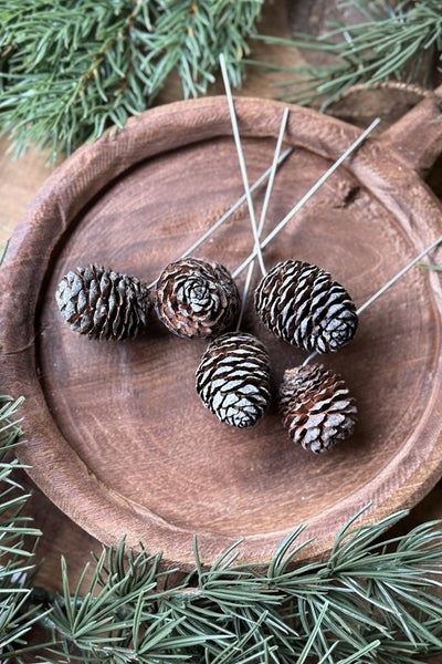 KORISTETIKKU lajitelma