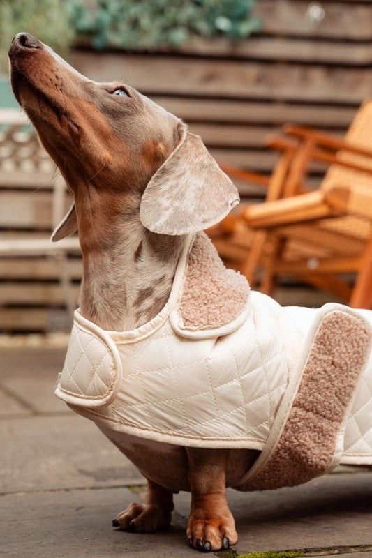 Koiran Luxe tikkitakki kerman s&auml;vyss&auml;