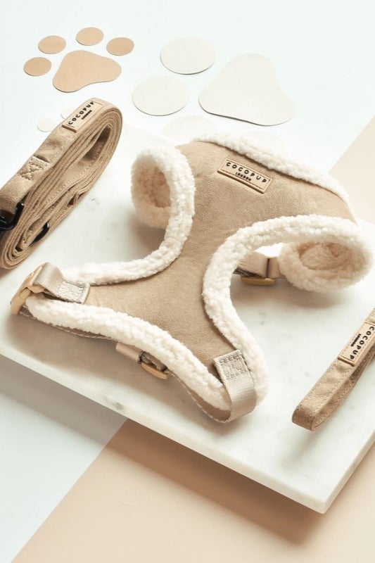 Nude Aviator koiran valjaat