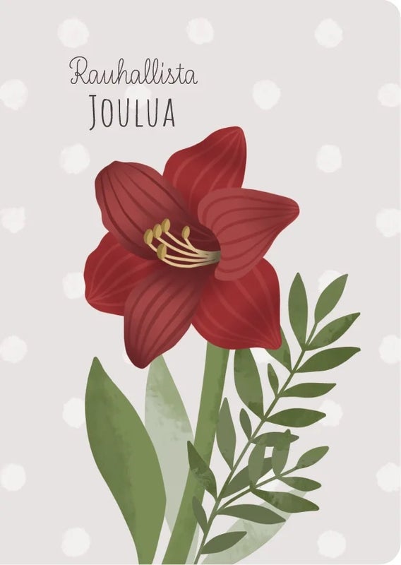 Amaryllis 2-osainen joulukortti