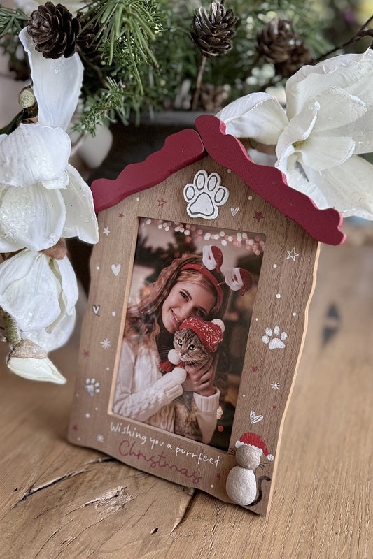 Jouluinen valokuvauskehys kissalle