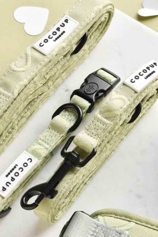 Talutushihna Sage Heart 152x2cm