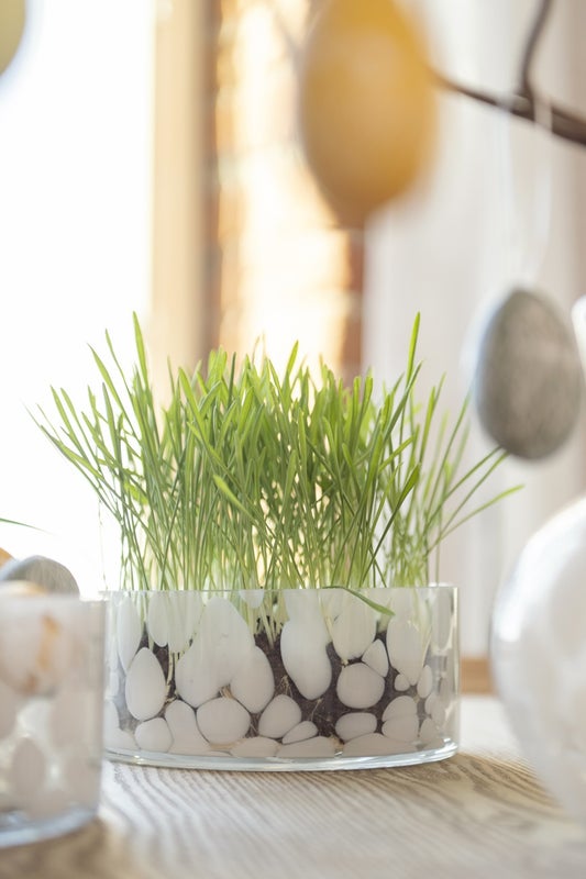 Riekko lasimalja 18x8cm