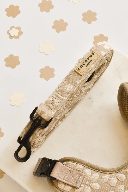 Talutushihna Mocha Flower 152x2cm