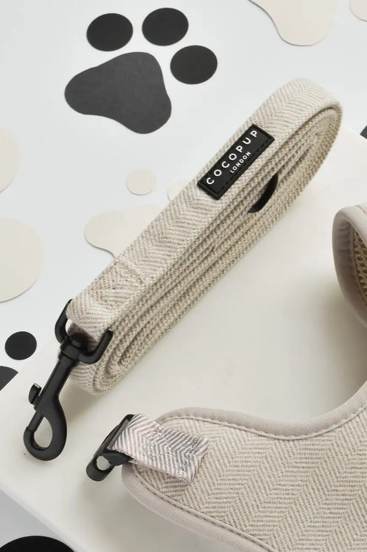 Tweed Brown talutushihna 152x2cm