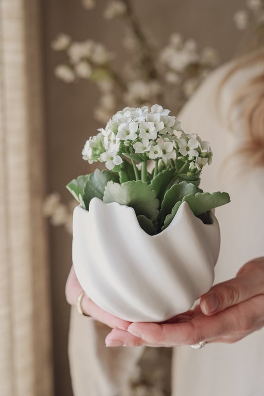 Iso Skal valkoinen munankuori 12x9,8cm